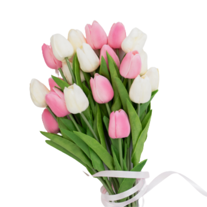 Bouquet of white-pink tulips