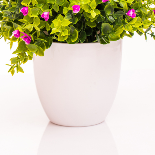 A classic white vase for a planter